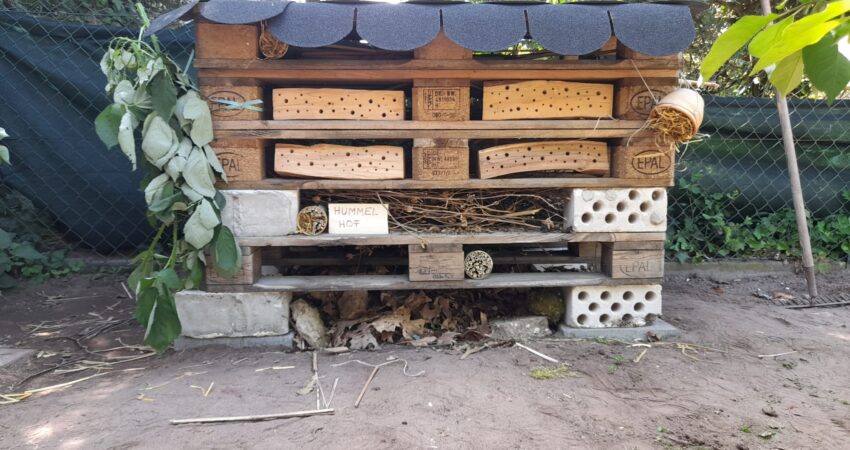 Ein sogenannter Lebensturm - ein Insektenhotel aus Paletten und Holzblöcken mit Löchern